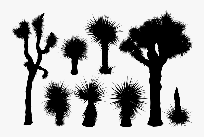 Yucca Silhouettes Vector - Joshua Tree Silhouette Vector, HD Png Download, Free Download