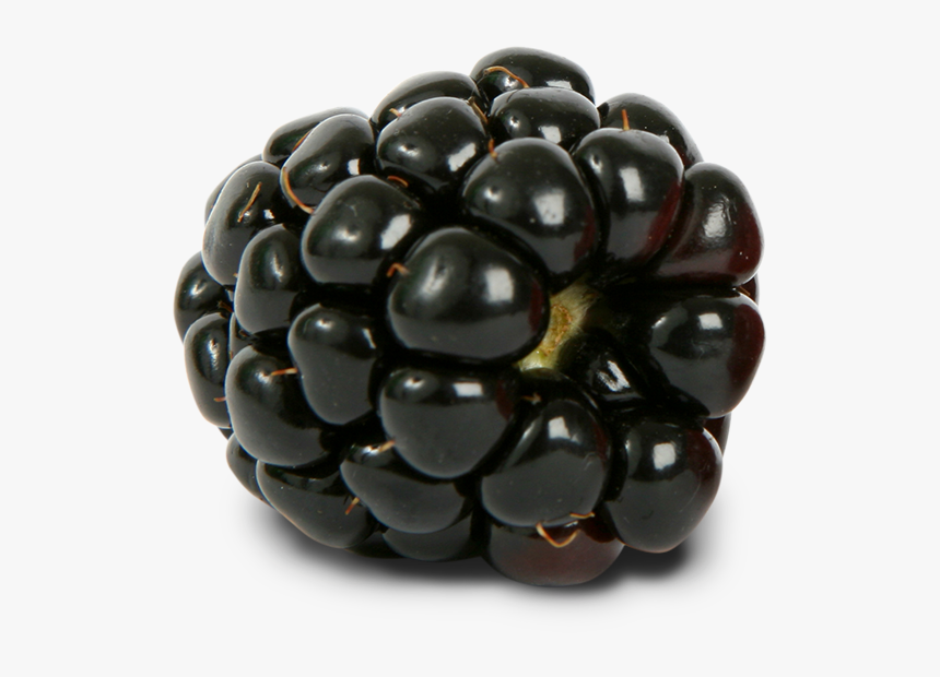 Blackberry Png - Black Raspberry Png, Transparent Png, Free Download