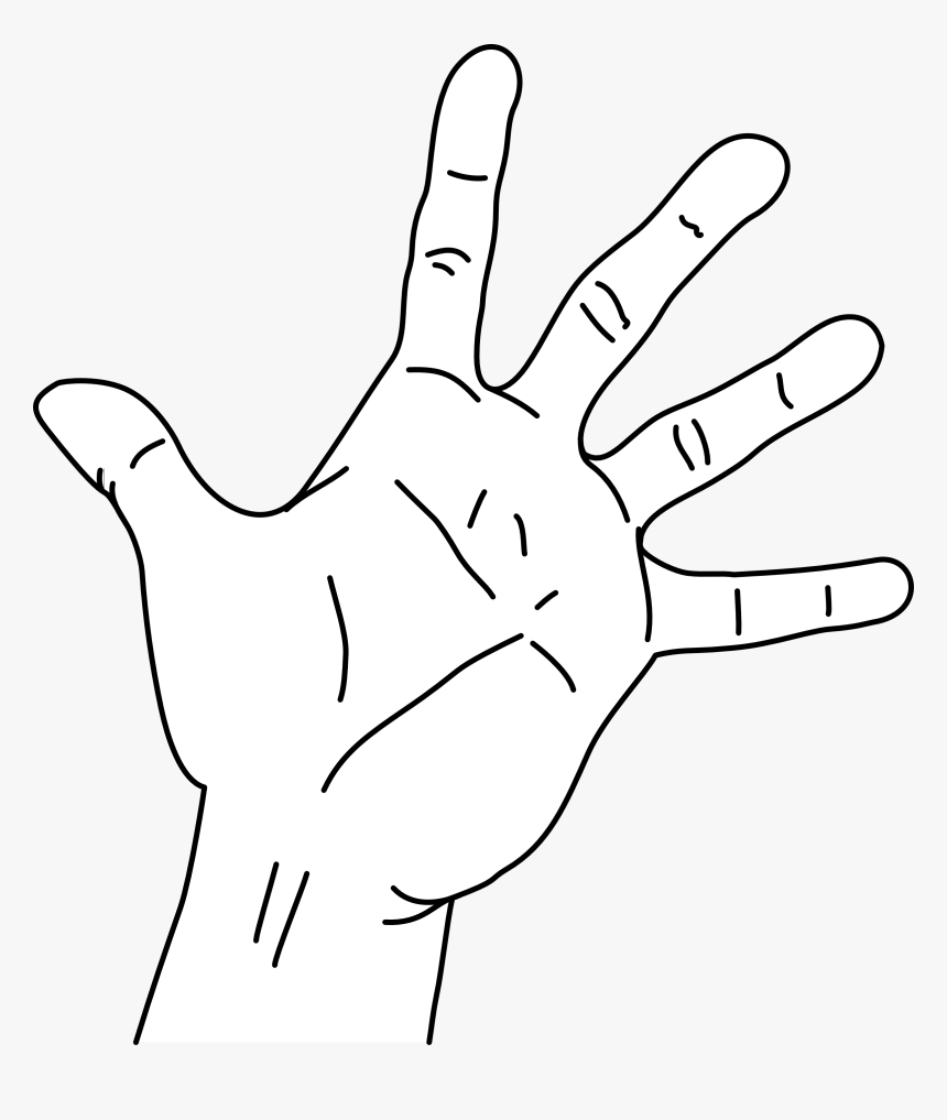 Measurements Of The Hand Without The Measurements - Palm Hands White Png, Transparent Png, Free Download