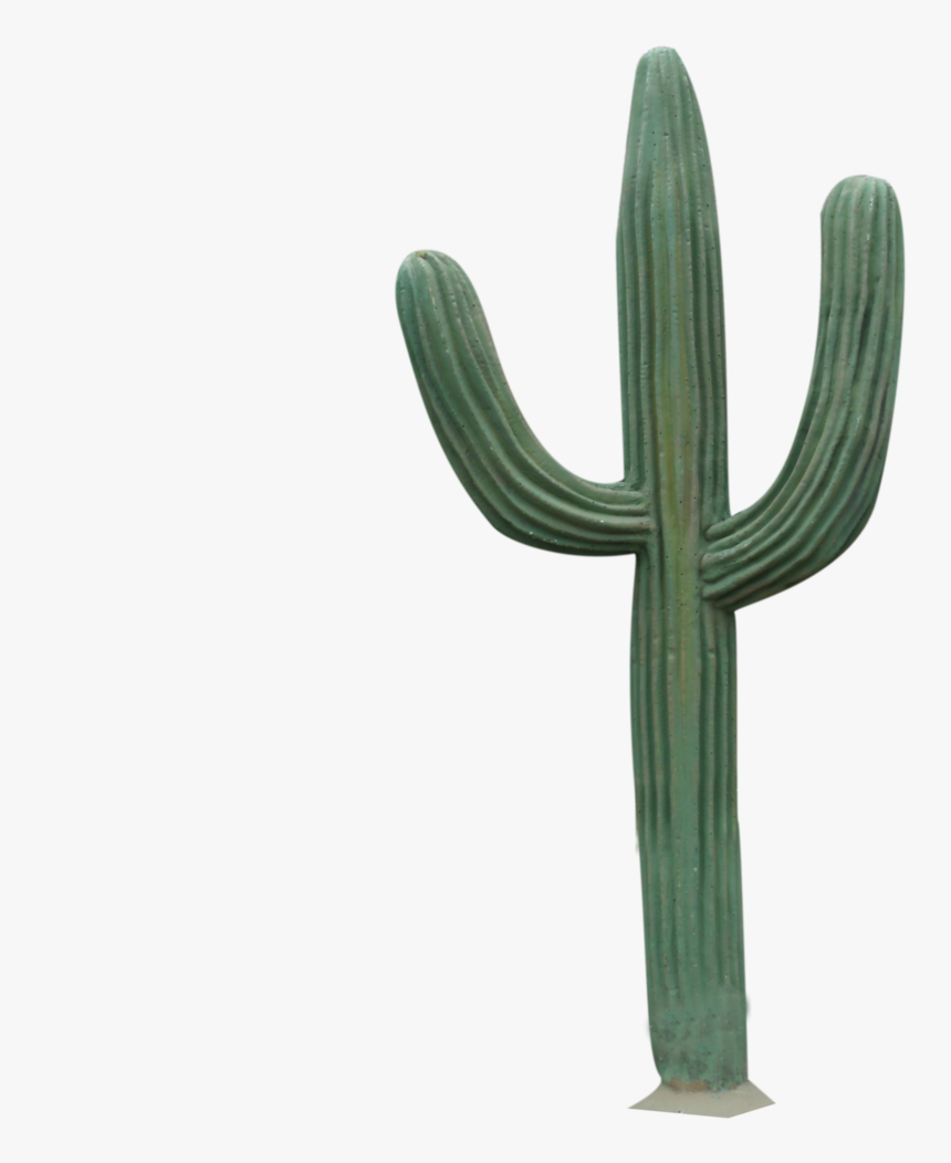 Cactus Png Transparent, Png Download, Free Download