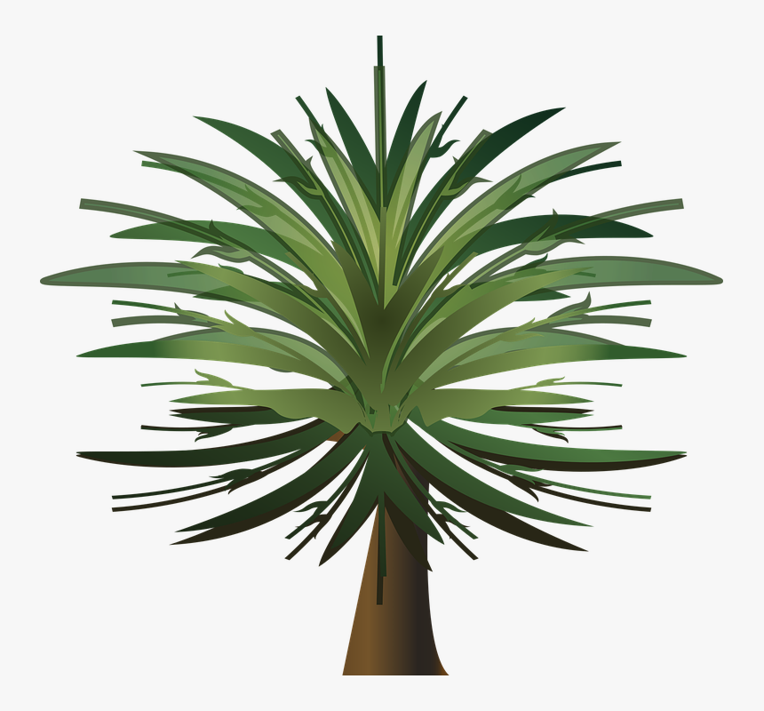Palm Tree, Wood, Paper, Leaves, Plant, Bush, Foliage - Tree, HD Png Download, Free Download