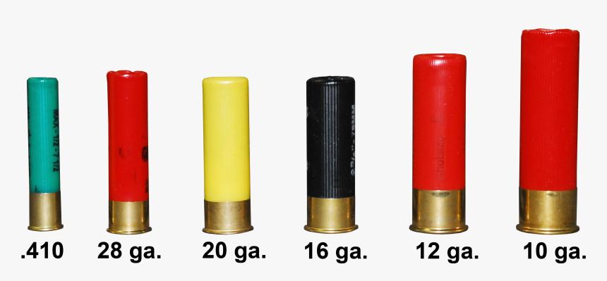 Shotshells - 10 Gauge Shell Vs 12 Gauge, HD Png Download, Free Download