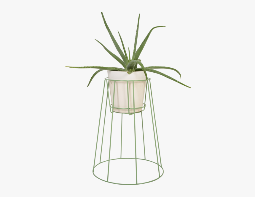 Medium Sea Green - Plant Stand, HD Png Download, Free Download