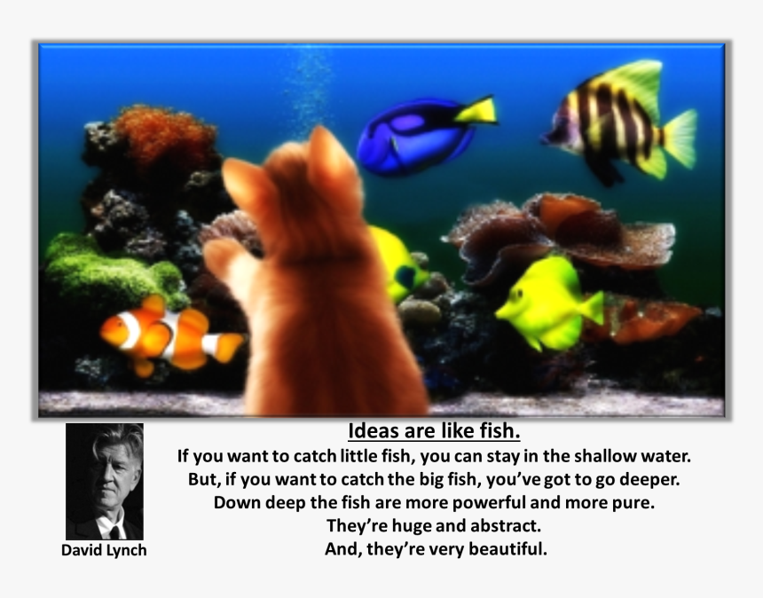 Transparent David Lynch Png - Coral Reef Hd Funny, Png Download, Free Download