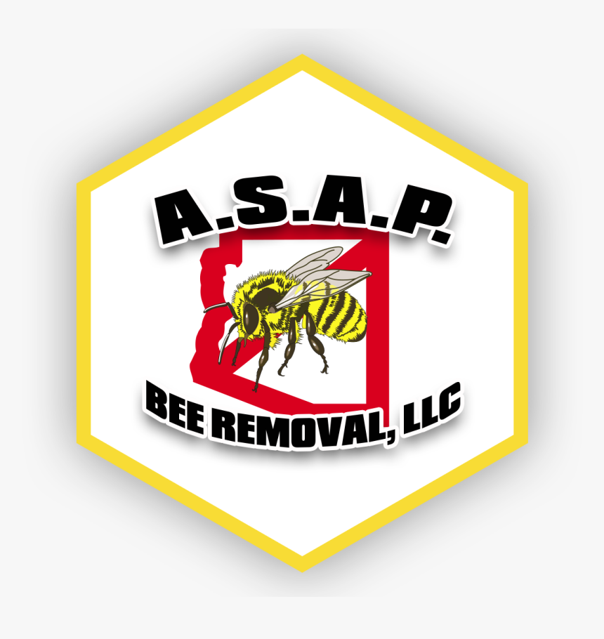 A - S - A - P - Bee Removal, Az - Apimed, HD Png Download, Free Download