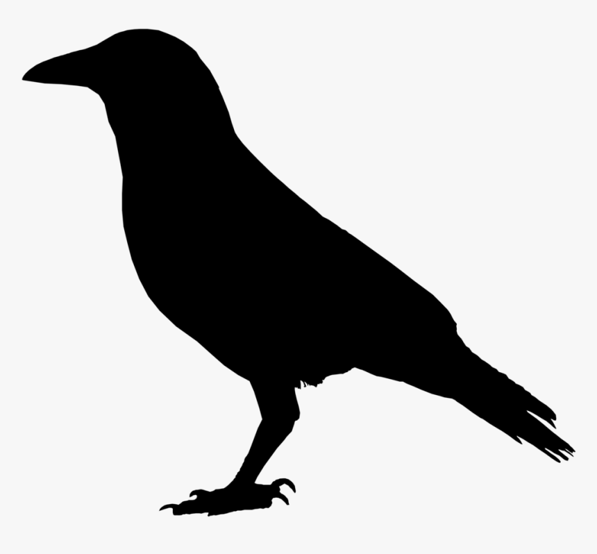 Panda Free Images Ravens - Crow Black, HD Png Download, Free Download