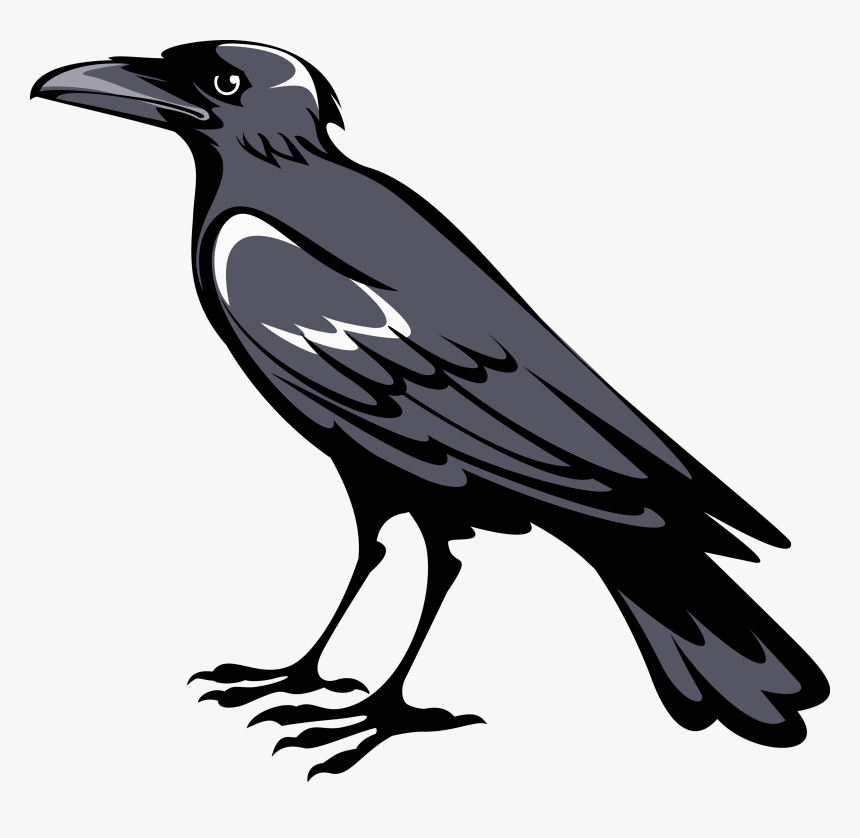 Transparent Raven Flying Png, Png Download, Free Download