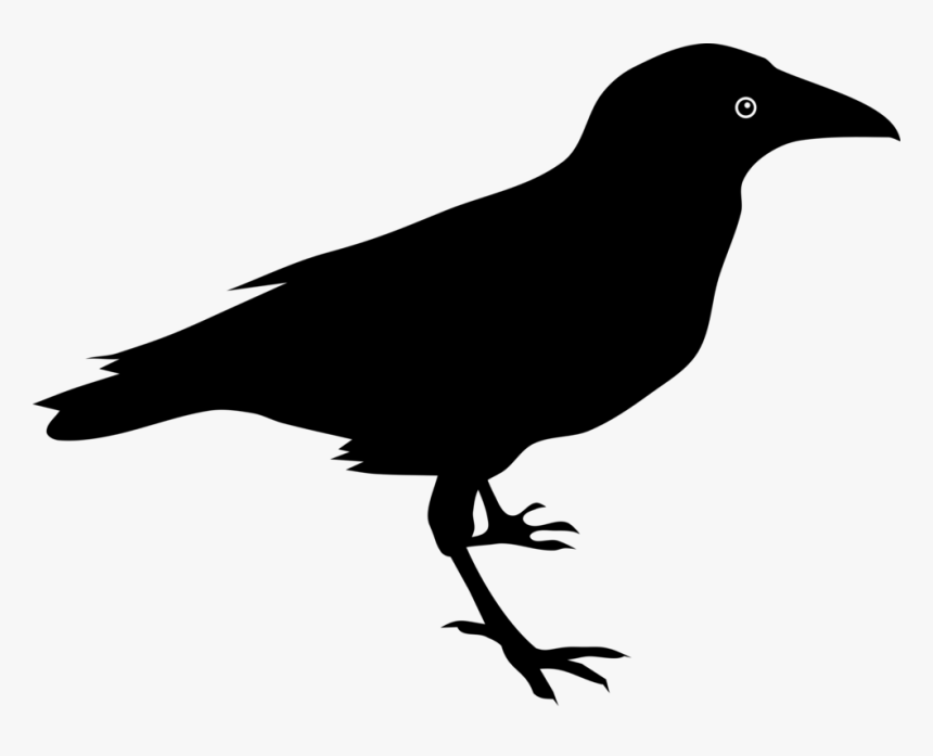 Crow Clipart Raven - Raven Clipart, HD Png Download, Free Download