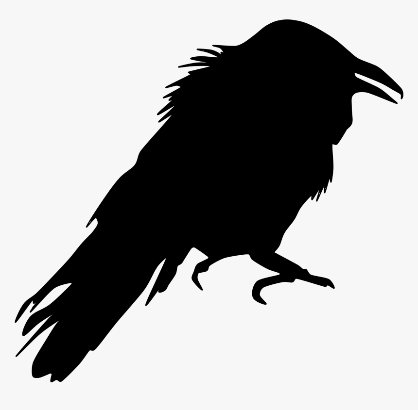 Crow Like Bird,wildlife,silhouette - Crow Silhouette Clip Art, HD Png Download, Free Download