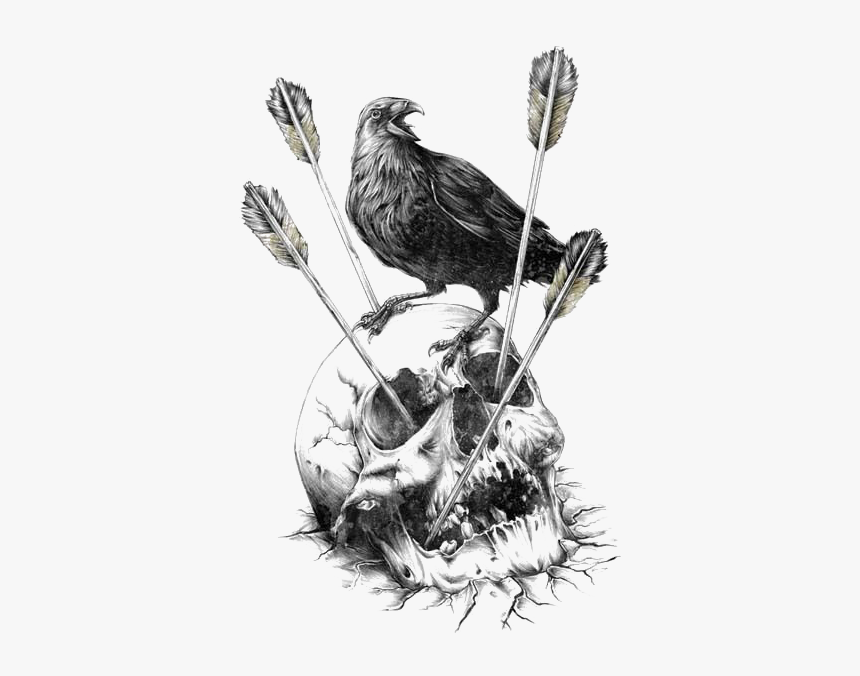 Skull Calavera Illustration Carlsberg Fjord Human Crow - Skeleton Of Crow Drawings, HD Png Download, Free Download
