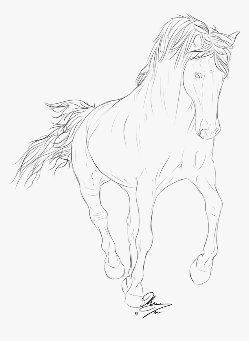 Relevant Images For Native American Arrow Drawing - Native American On Horse Drawing, HD Png Download, Free Download