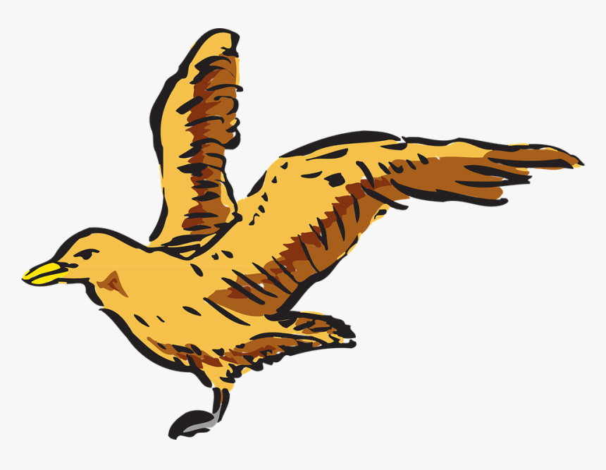 Crows Flight Clip Art - Bird Side View Clipart, HD Png Download, Free Download