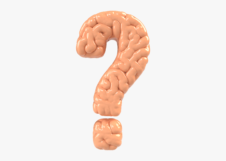 Question Image With Brain, HD Png Download, Free Download