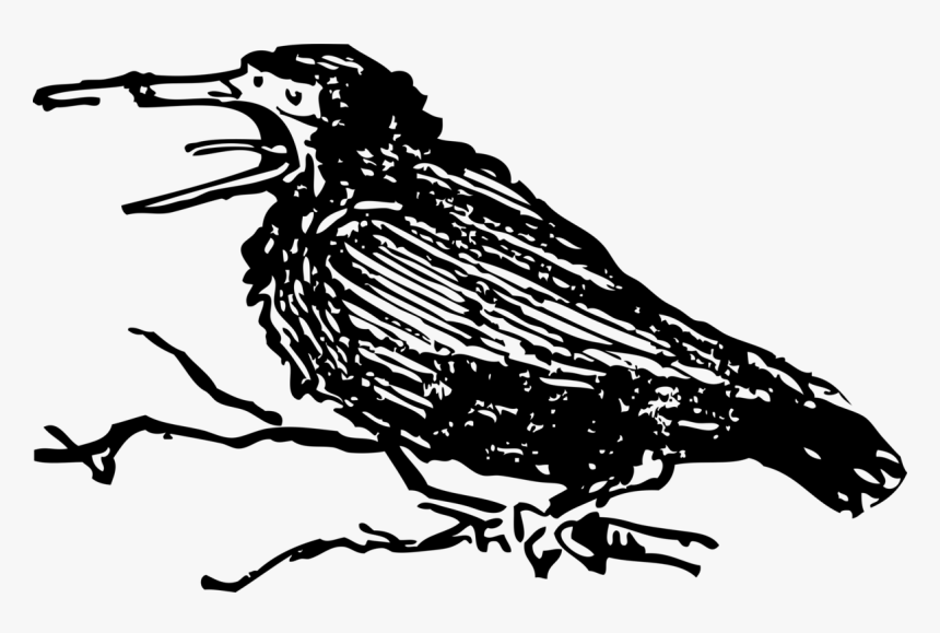 Old Crow - Old Crow Bird, HD Png Download, Free Download