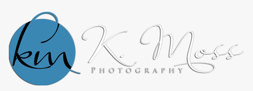 Moss Photography - Calligraphy, HD Png Download, Free Download