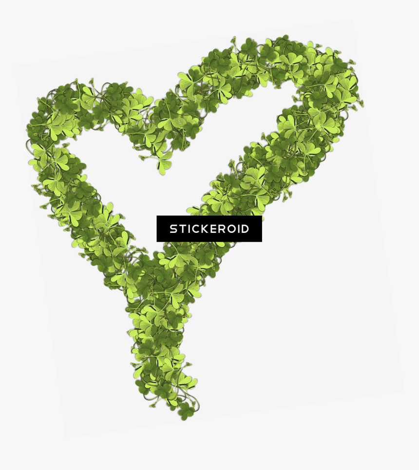Heart Made Of Shamrocks , Png Download - Portable Network Graphics, Transparent Png, Free Download