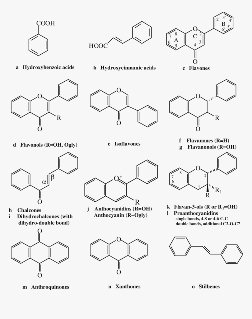 Diagram, HD Png Download, Free Download