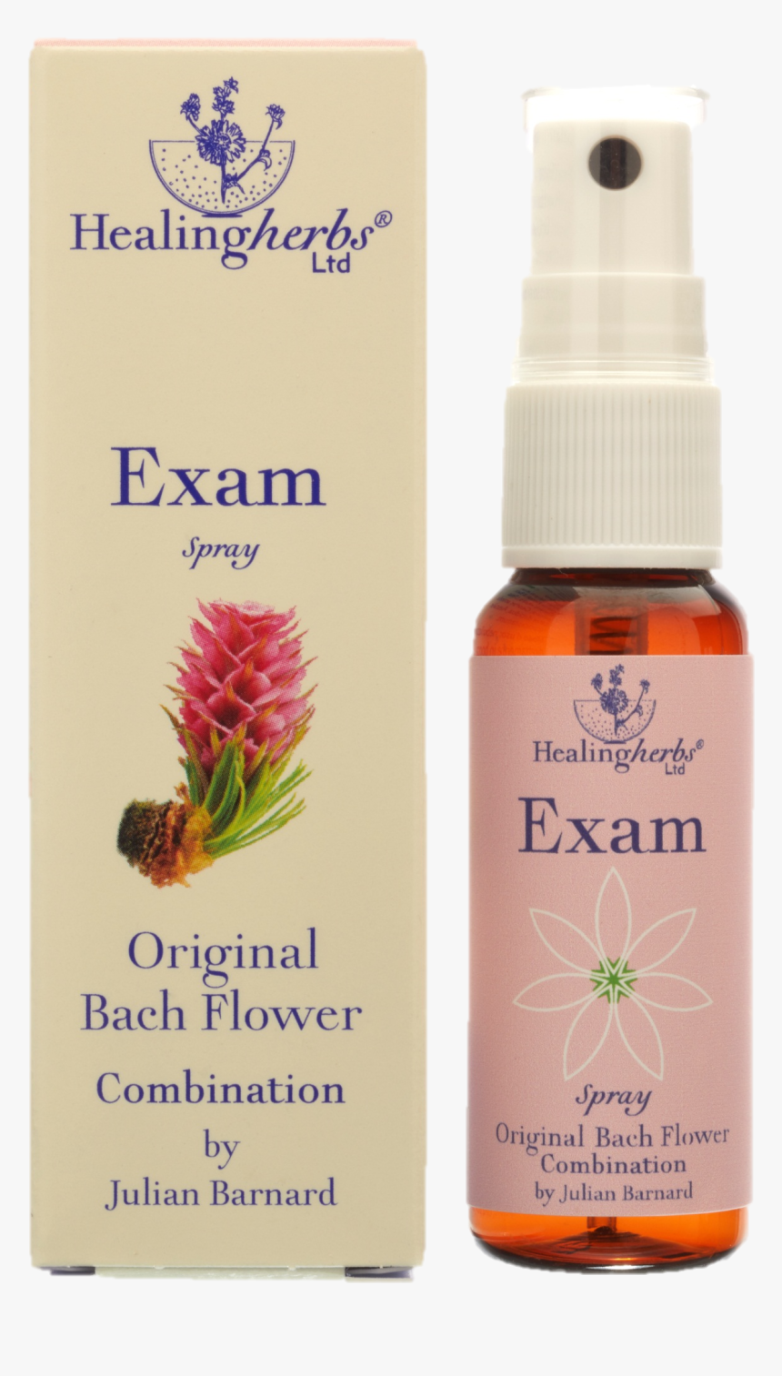 Florais De Bach Para Concentração , Png Download - Exam Healing Herbs, Transparent Png, Free Download