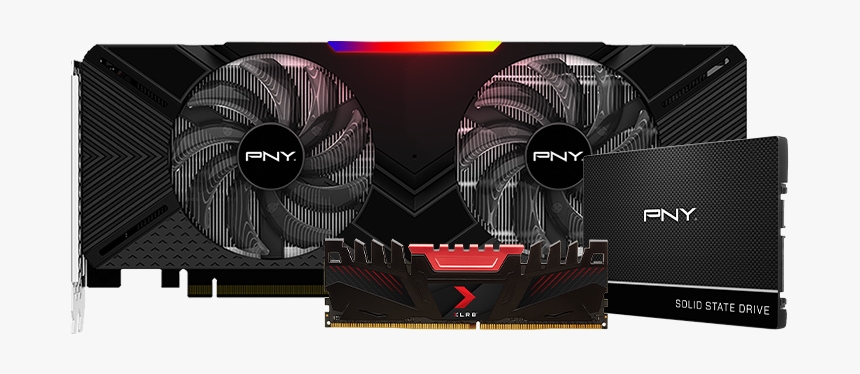 Every Day Gamer - Pny Geforce Rtx 2070 Super Dual Fan, HD Png Download, Free Download