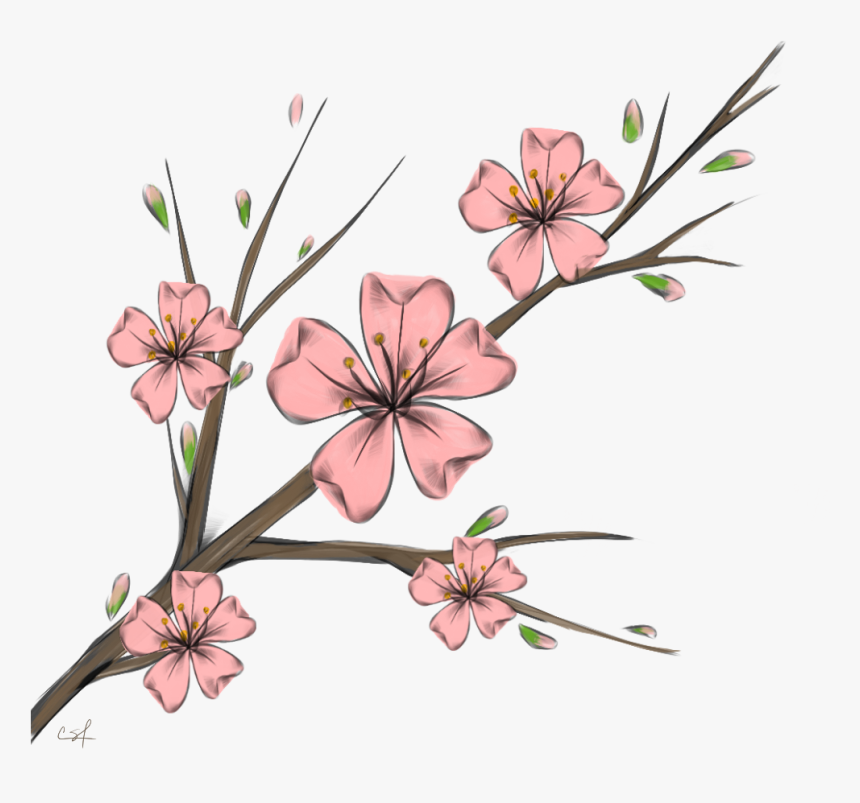 Cherry Blossom Flowers Branshes Freetoedit Banner Black - Cherry Blossom Wallpaper Flower Art, HD Png Download, Free Download