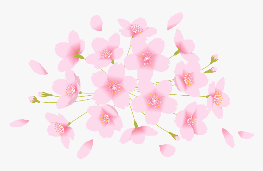 Cherry Blossoms Flower Clipart - Flowering Dogwood, HD Png Download, Free Download