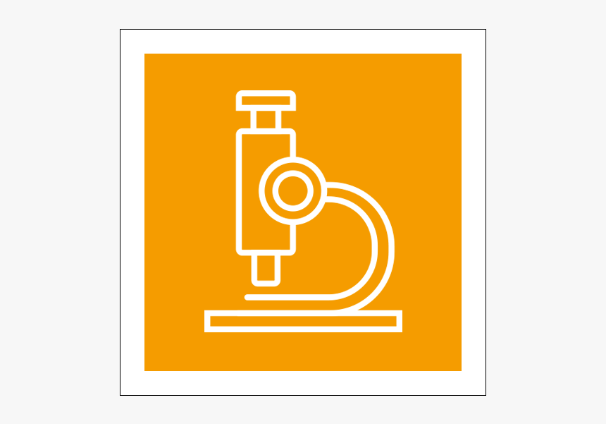 Vector Graphics, HD Png Download, Free Download