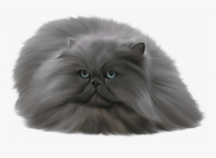 Cute Cat Png, Transparent Png, Free Download