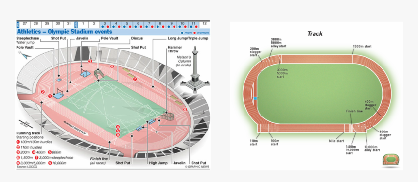 Track And Field Stadium Layout