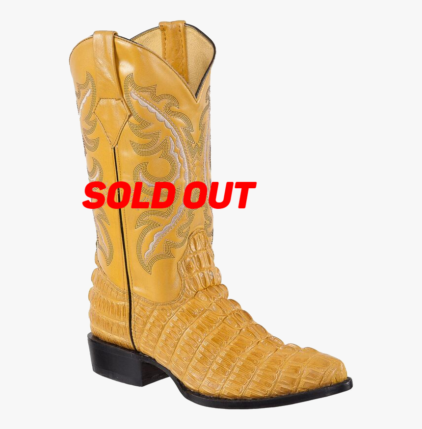 Cowboy Boot, HD Png Download, Free Download