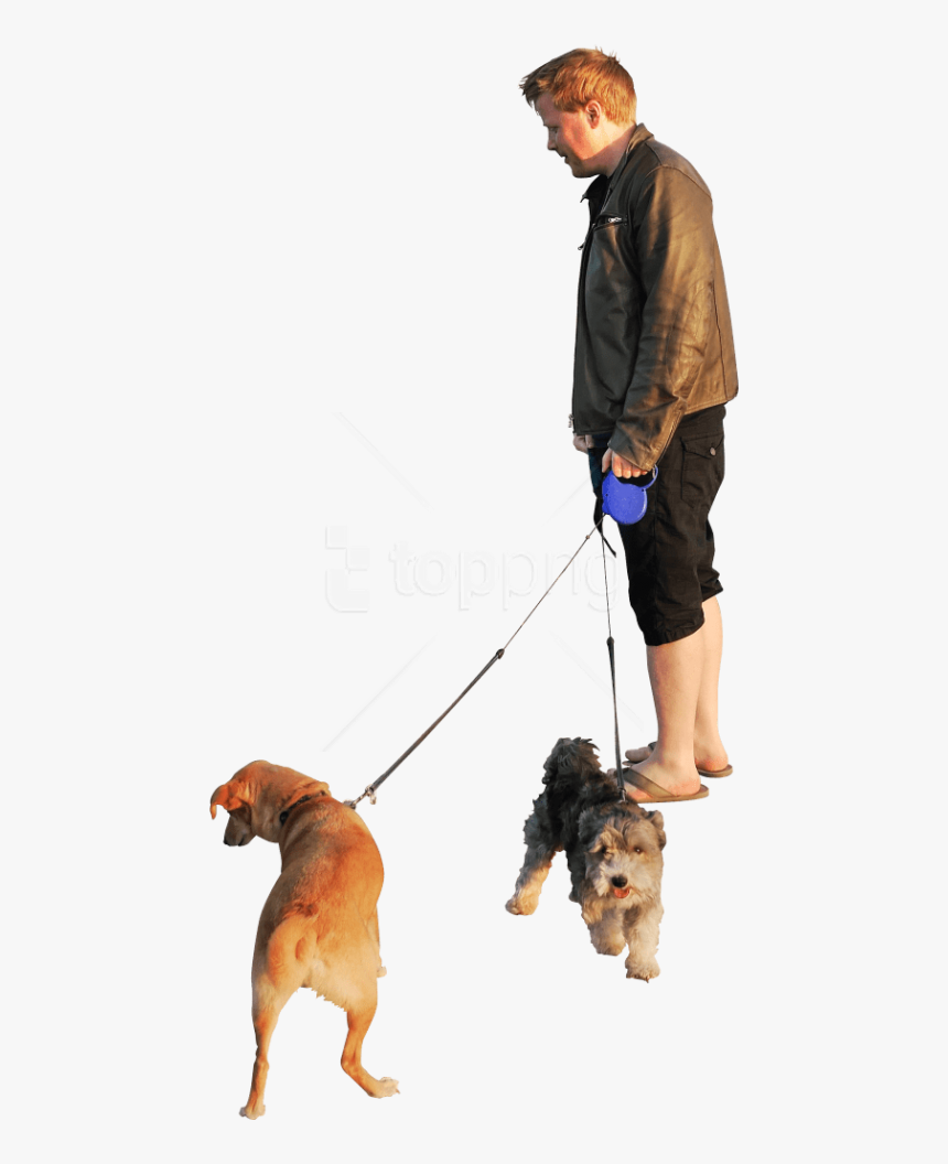 Dogs Beach Sunset Png - People Walking Dog Png, Transparent Png, Free Download