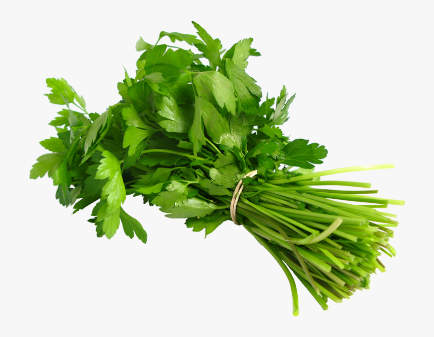 Coriander Png, Transparent Png, Free Download