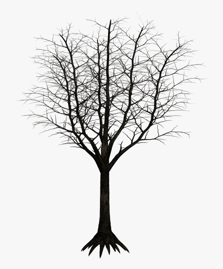 Dark Tree Png, Transparent Png, Free Download