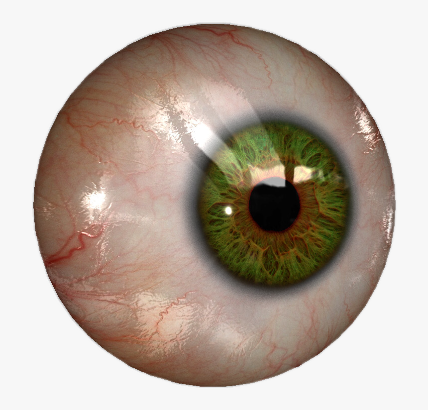 Transparent Realistic Eye Png - Real Eyes, Png Download, Free Download