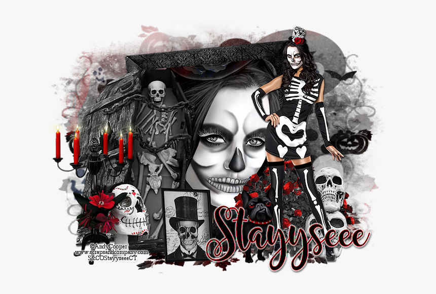 Skeleton Costume Women, HD Png Download, Free Download