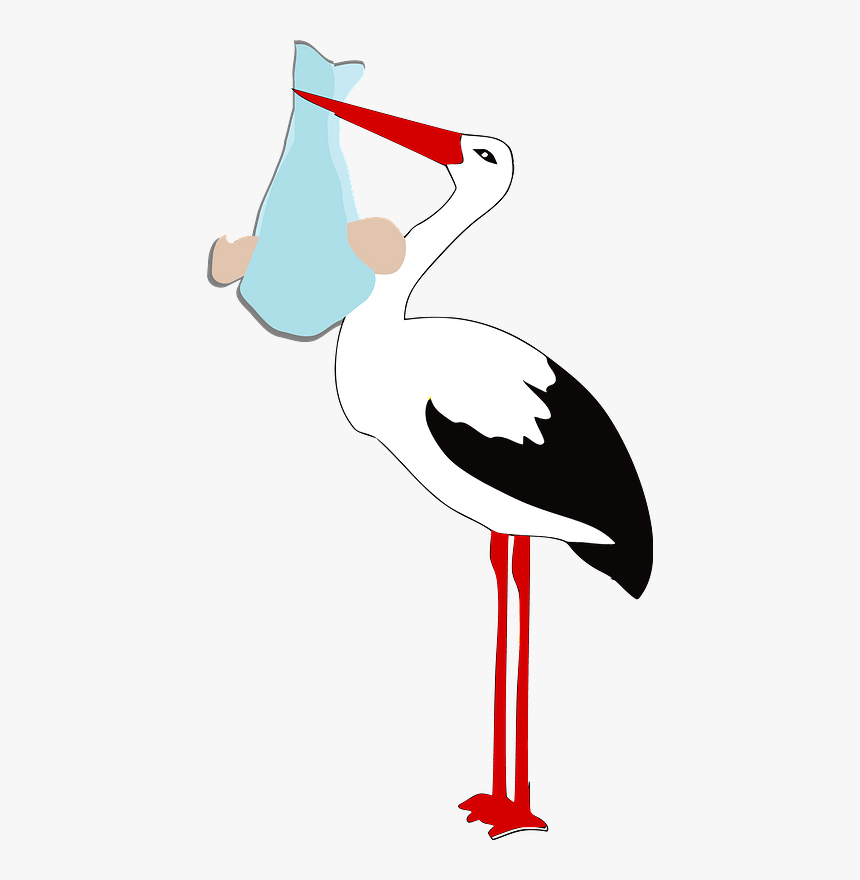 Stork Holding A Baby Boy Clipart - Stork, HD Png Download, Free Download