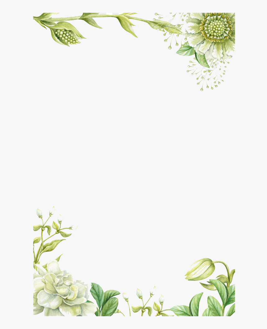 Lilium Flower Border Png Image - Green Flower Borders Clipart, Transparent Png, Free Download