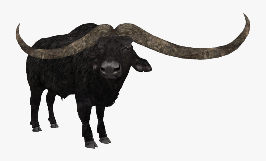 Transparent Buffalo Png - Tycoon Zoo Bison, Png Download, Free Download