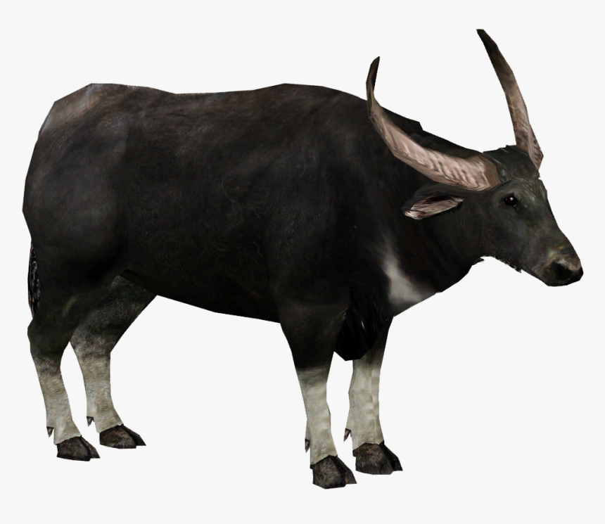 Bull, HD Png Download, Free Download