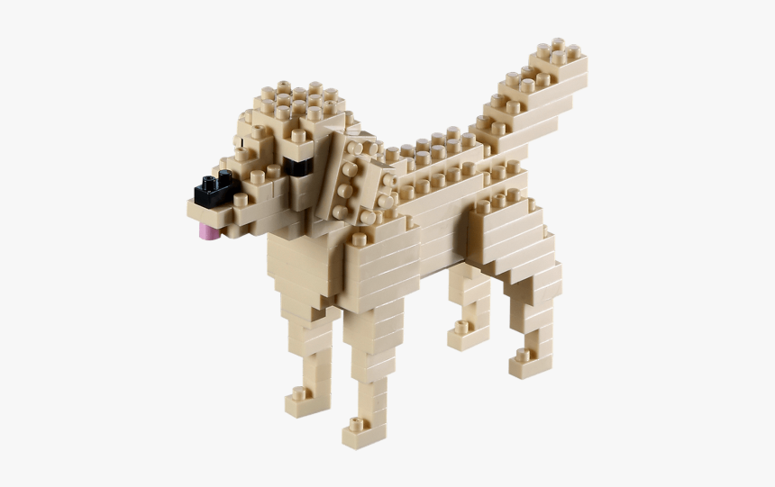 200 067 Golden Retriever - Pies Z Klocków Lego Duplo, HD Png Download, Free Download