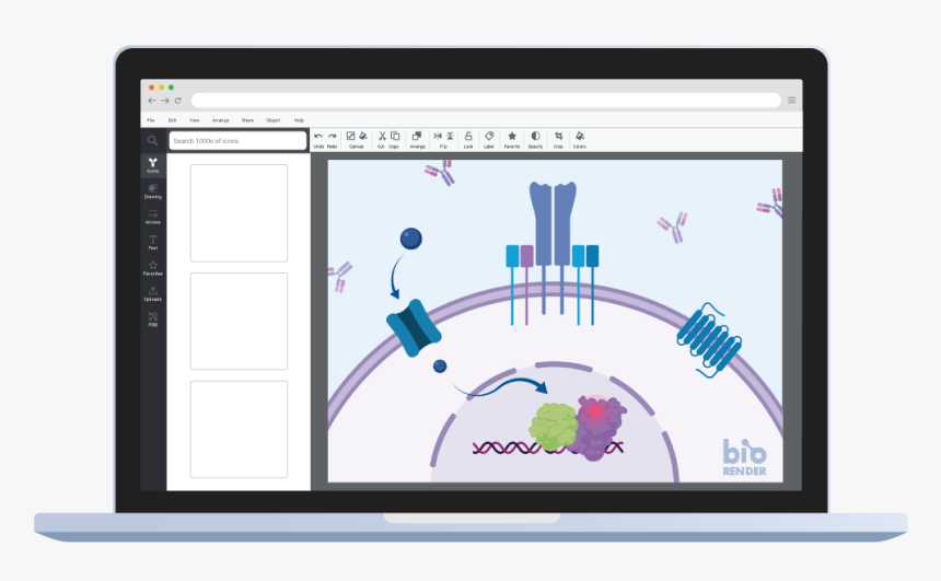 biorender software download