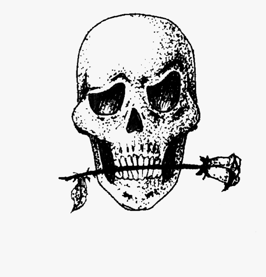 #skull #tattoo #skeleton #tatuagem #caveira #freetoedit - Skull, HD Png Download, Free Download