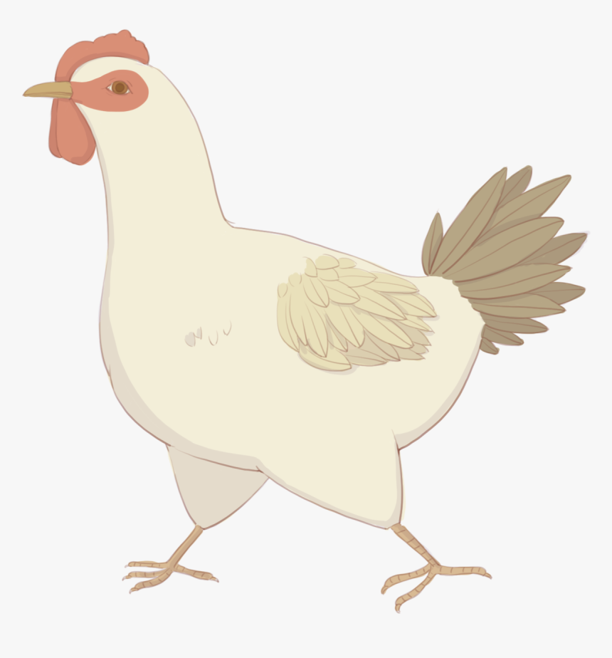 Transparent Hen Png - Chicken, Png Download, Free Download