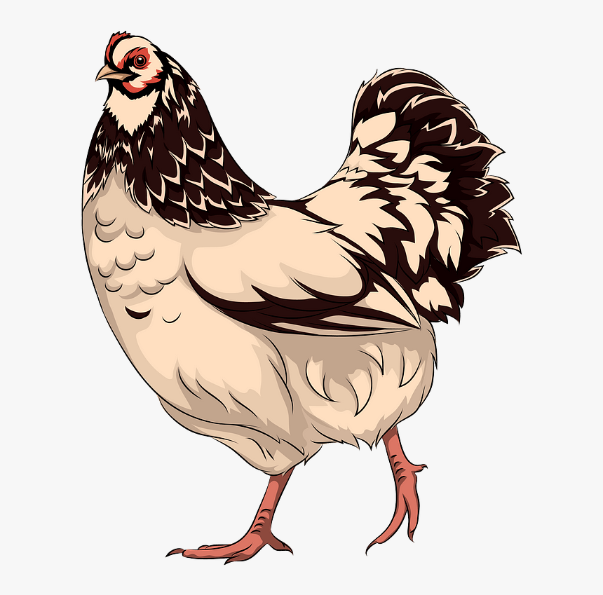 Hen Clipart - Курица Клипарт, HD Png Download, Free Download