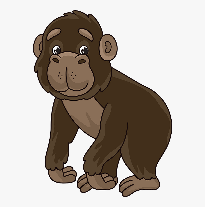 Gorilla Clipart - Cartoon, HD Png Download, Free Download