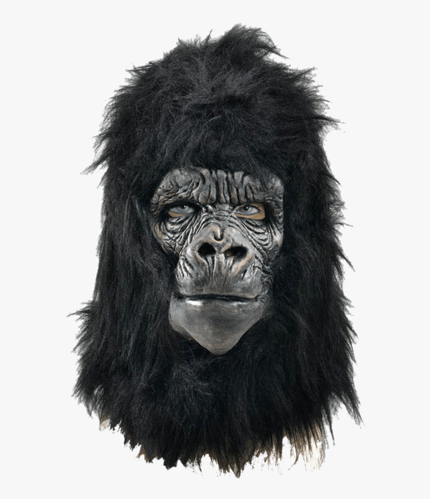 Gorilla Masks, HD Png Download, Free Download