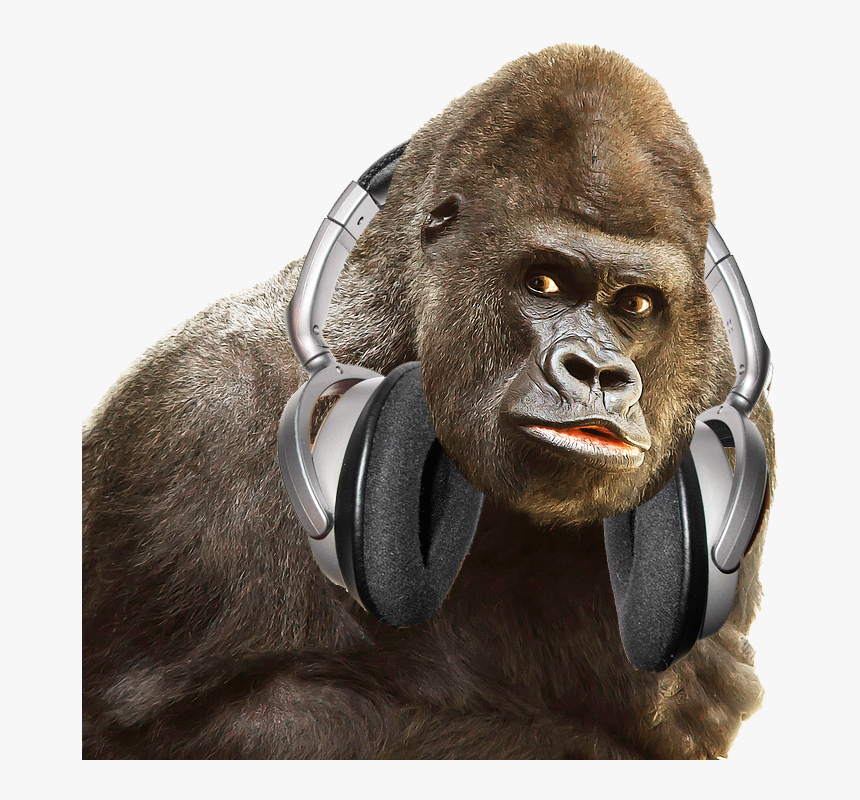 Gorilla Png, Transparent Png, Free Download