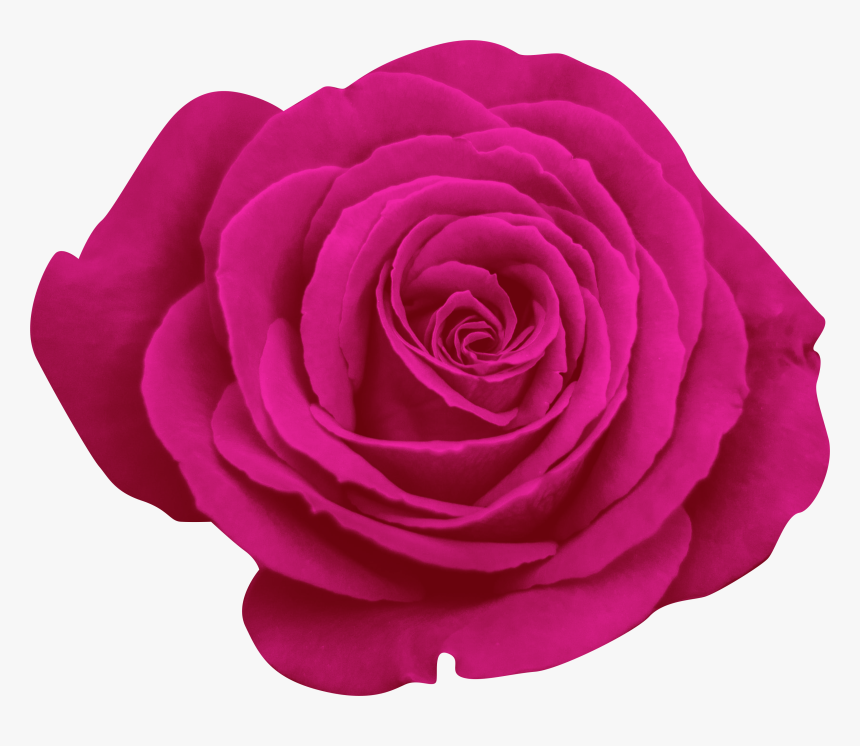 Rose Good Night My Love, HD Png Download, Free Download