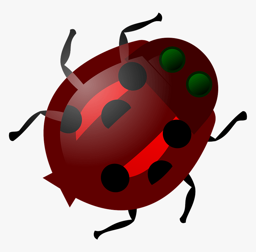 Ladybug Clipart - Ladybug, HD Png Download, Free Download