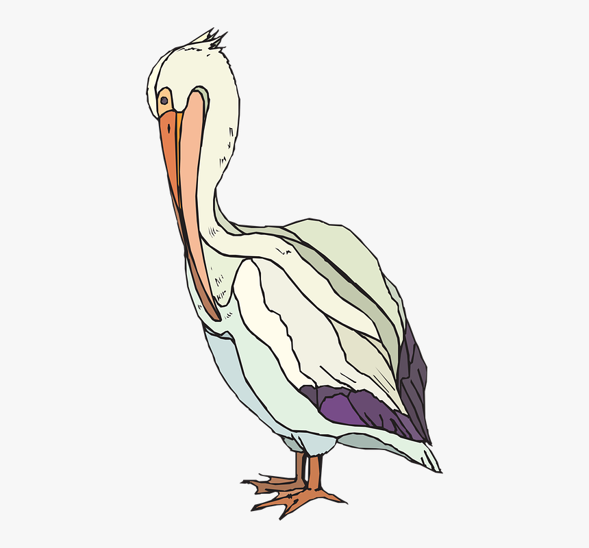 Pelican Clip Art, HD Png Download, Free Download