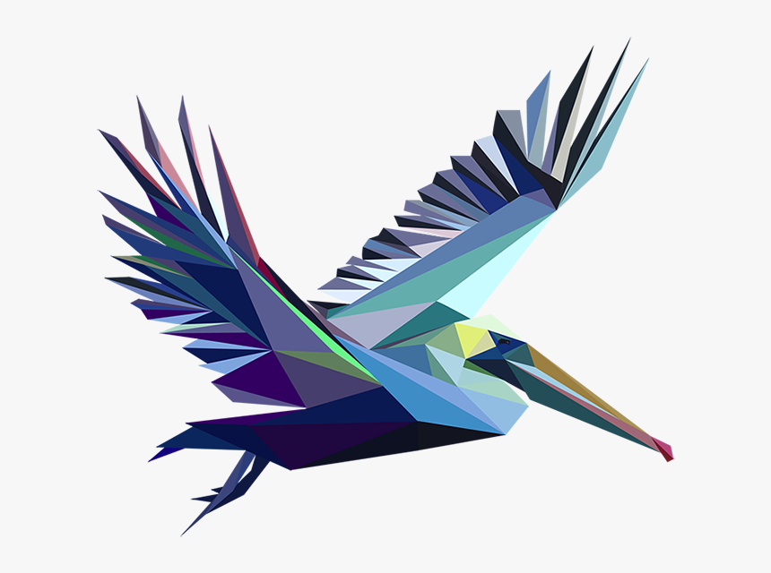 Pelican Fun Illustration Pelican - Swallow, HD Png Download, Free Download